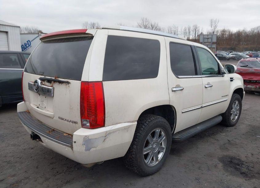 Photo 4 of 2009 Cadillac Escalade STANDARD (VIN 1GYFK13299R119207)