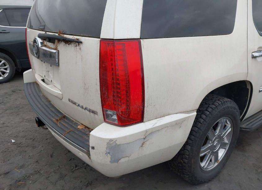 Photo 6 of 2009 Cadillac Escalade STANDARD (VIN 1GYFK13299R119207)