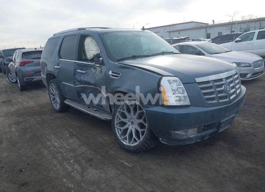 2009 Cadillac Escalade STANDARD (VIN 1GYFK132X9R122617) main photo