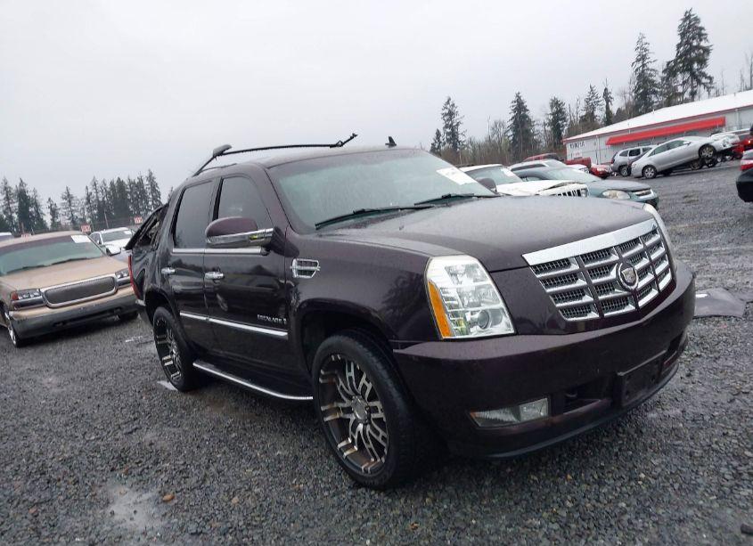 2009 Cadillac Escalade STANDARD (VIN 1GYFK23289R223810) main photo