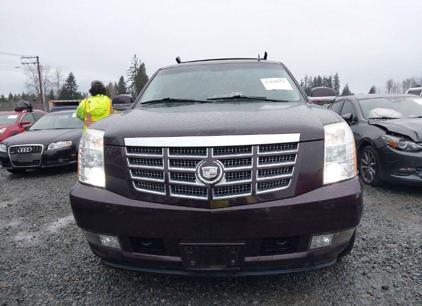 Photo 12 of 2009 Cadillac Escalade STANDARD (VIN 1GYFK23289R223810)