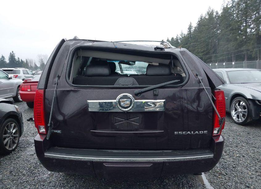 Photo 16 of 2009 Cadillac Escalade STANDARD (VIN 1GYFK23289R223810)
