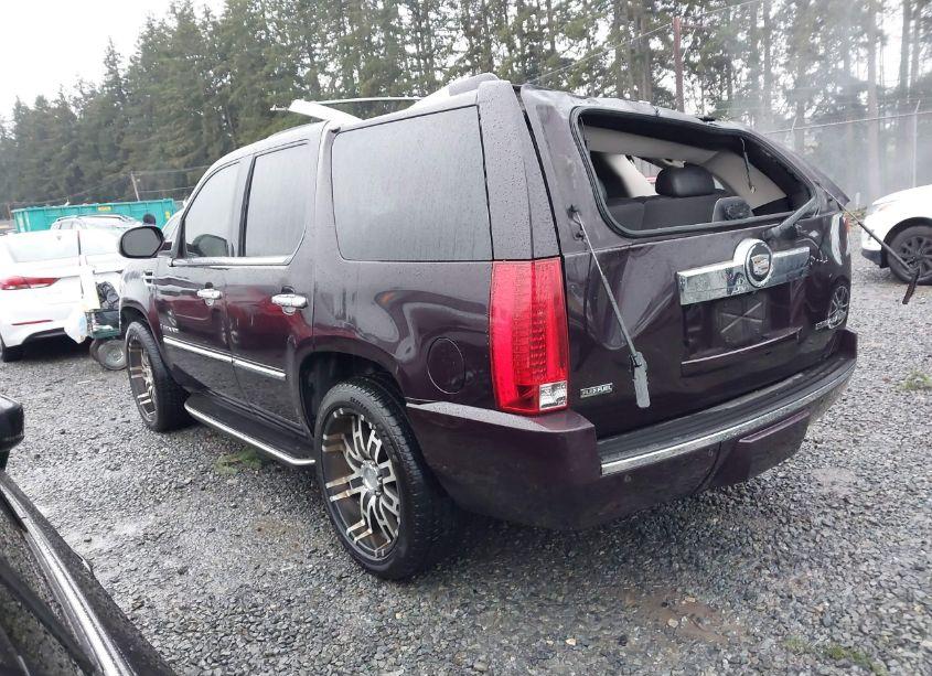 Photo 3 of 2009 Cadillac Escalade STANDARD (VIN 1GYFK23289R223810)
