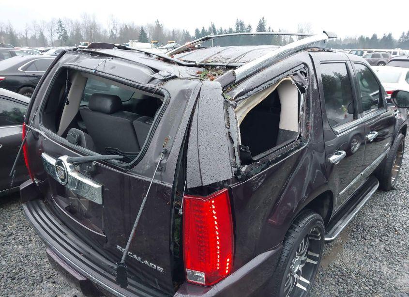 Photo 6 of 2009 Cadillac Escalade STANDARD (VIN 1GYFK23289R223810)