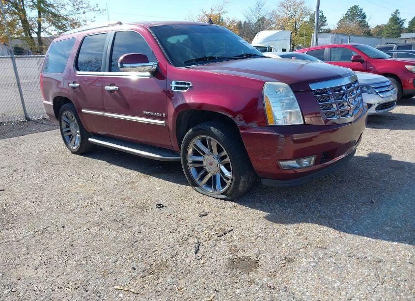 2009 Cadillac Escalade STANDARD (VIN 1GYFK23299R280534) main photo