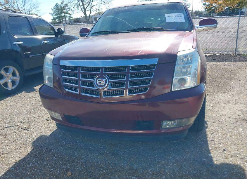 Photo 12 of 2009 Cadillac Escalade STANDARD (VIN 1GYFK23299R280534)