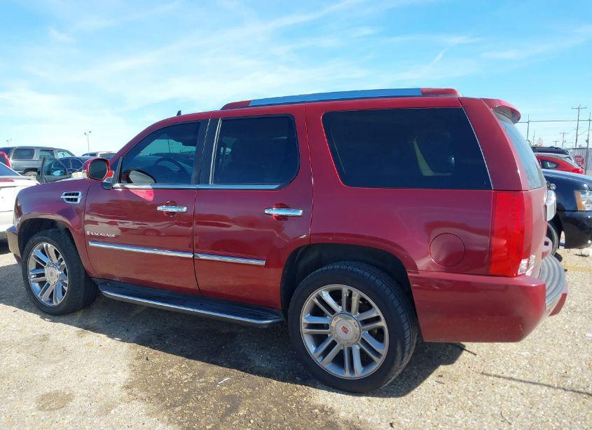 Photo 14 of 2009 Cadillac Escalade STANDARD (VIN 1GYFK23299R280534)