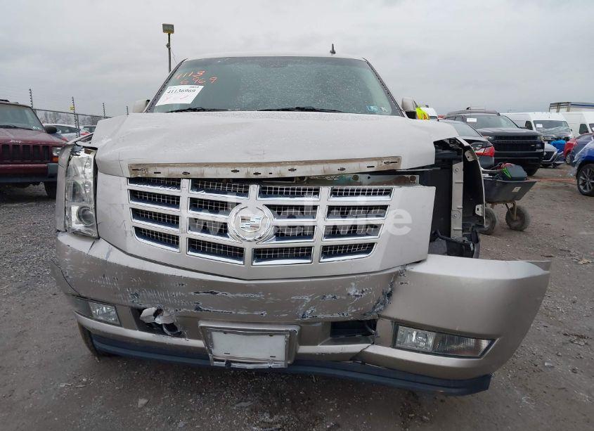 Photo 12 of 2009 Cadillac Escalade STANDARD (VIN 1GYFK232X9R102082)