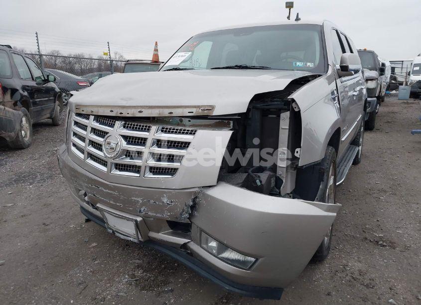 Photo 6 of 2009 Cadillac Escalade STANDARD (VIN 1GYFK232X9R102082)