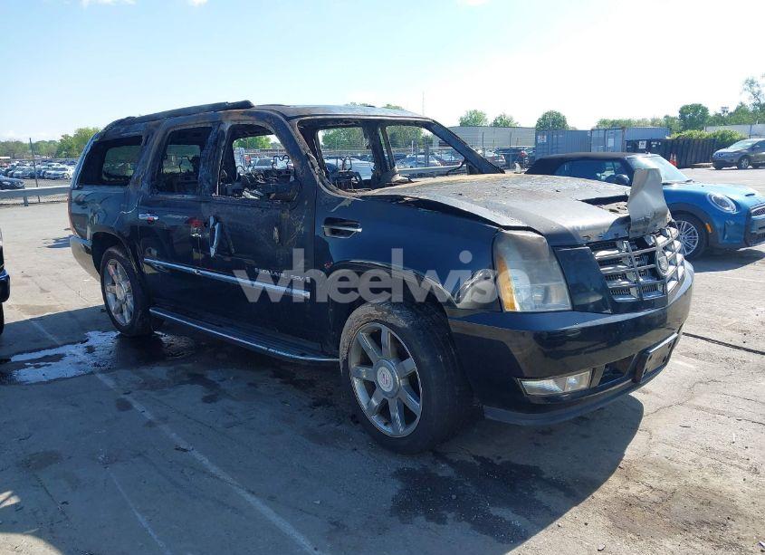 2009 Cadillac Escalade ESV STANDARD (VIN 1GYFK26209R283494) main photo