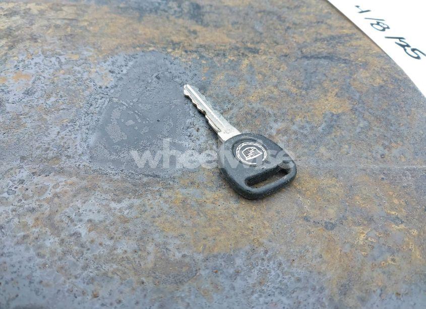 Photo 11 of 2009 Cadillac Escalade ESV STANDARD (VIN 1GYFK26209R283494)