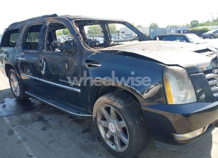 Photo 12 of 2009 Cadillac Escalade ESV STANDARD (VIN 1GYFK26209R283494)