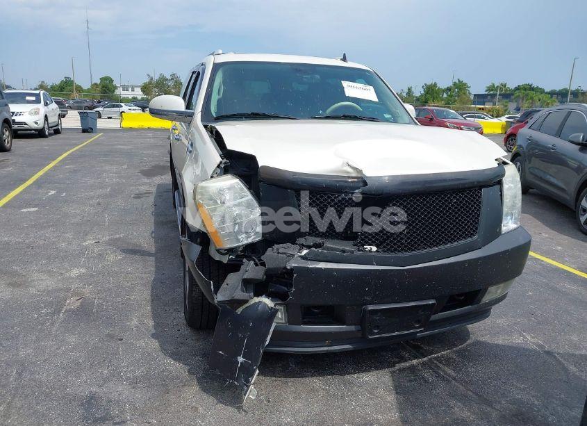 Photo 6 of 2009 Cadillac Escalade ESV STANDARD (VIN 1GYFK26239R217022)