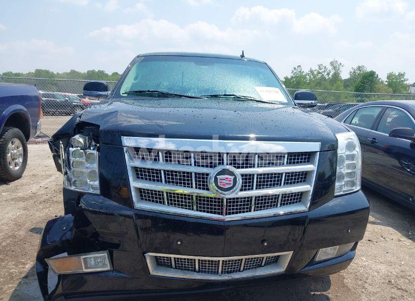 Photo 12 of 2009 Cadillac Escalade PLATINUM EDITION (VIN 1GYFK33219R190445)