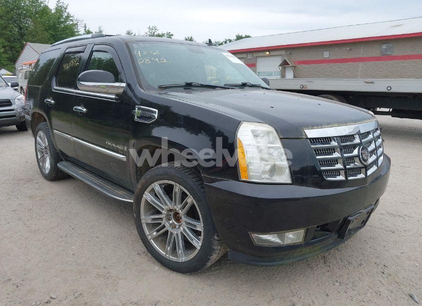 2009 Cadillac Escalade HYBRID STANDARD (VIN 1GYFK43529R119383) main photo