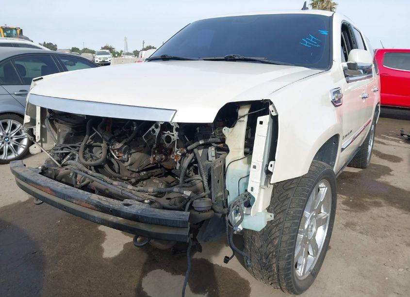 Photo 6 of 2009 Cadillac Escalade HYBRID STANDARD (VIN 1GYFK43529R126799)