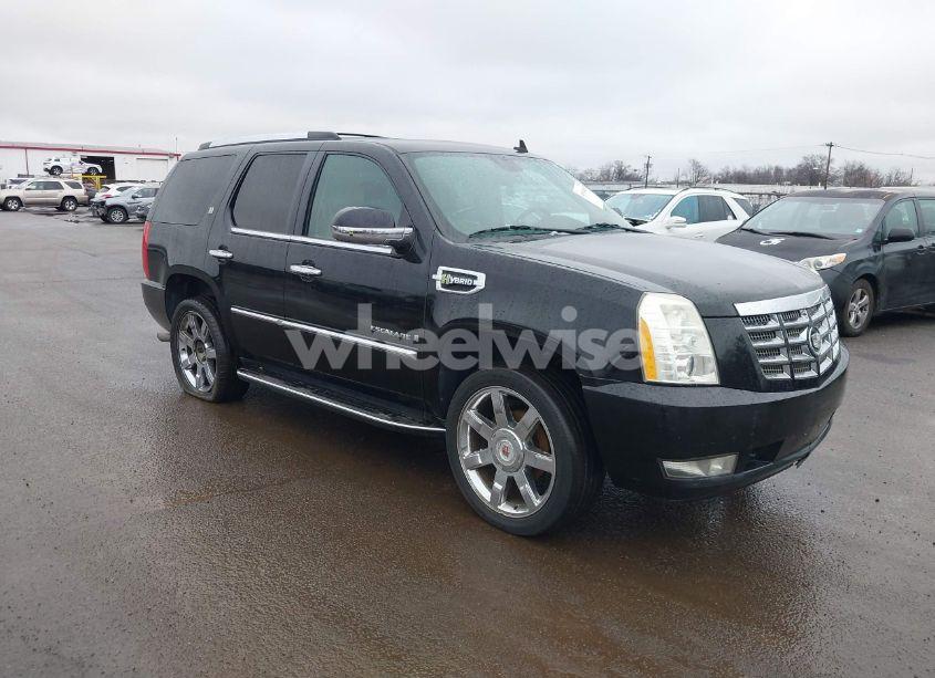 2009 Cadillac Escalade HYBRID STANDARD (VIN 1GYFK43549R131485) main photo