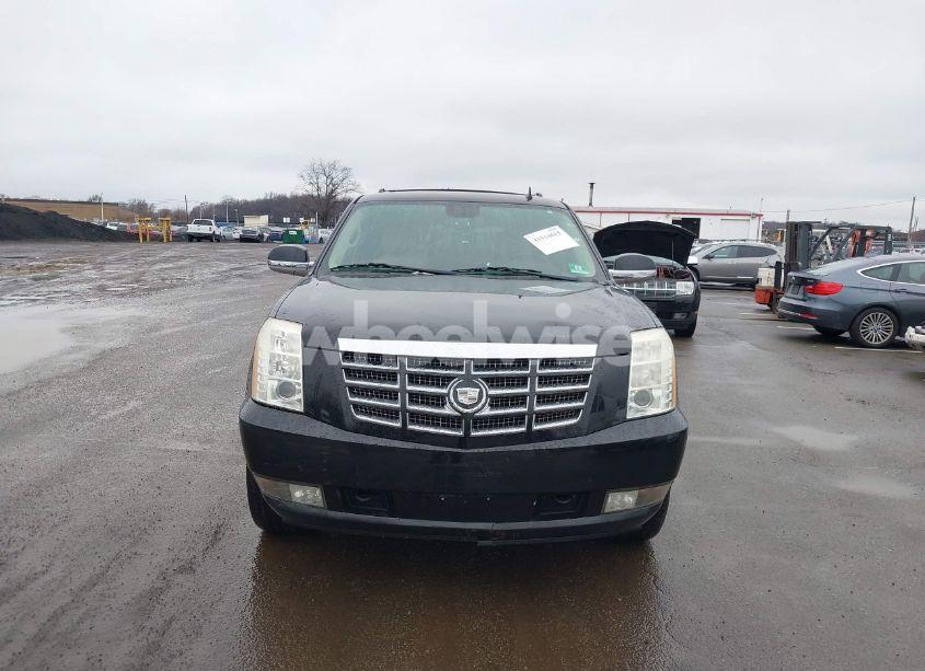 Photo 6 of 2009 Cadillac Escalade HYBRID STANDARD (VIN 1GYFK43549R131485)