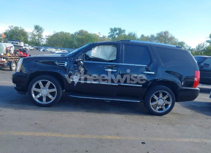 Photo 14 of 2008 Cadillac Escalade STANDARD (VIN 1GYFK63818R154016)