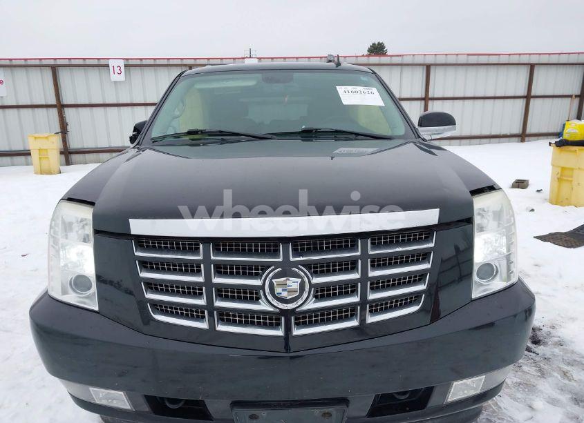 Photo 12 of 2007 Cadillac Escalade STANDARD (VIN 1GYFK63827R370312)