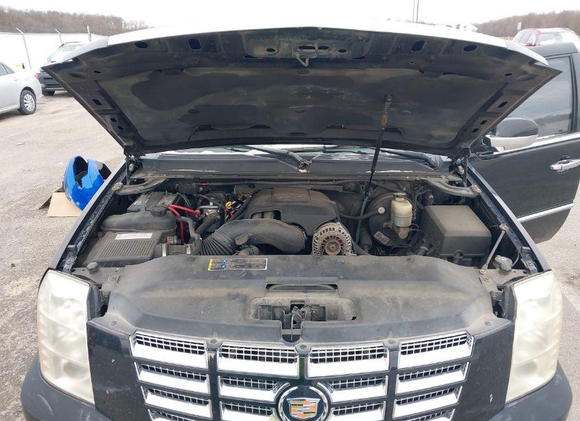 Photo 10 of 2007 Cadillac Escalade STANDARD (VIN 1GYFK63837R341949)