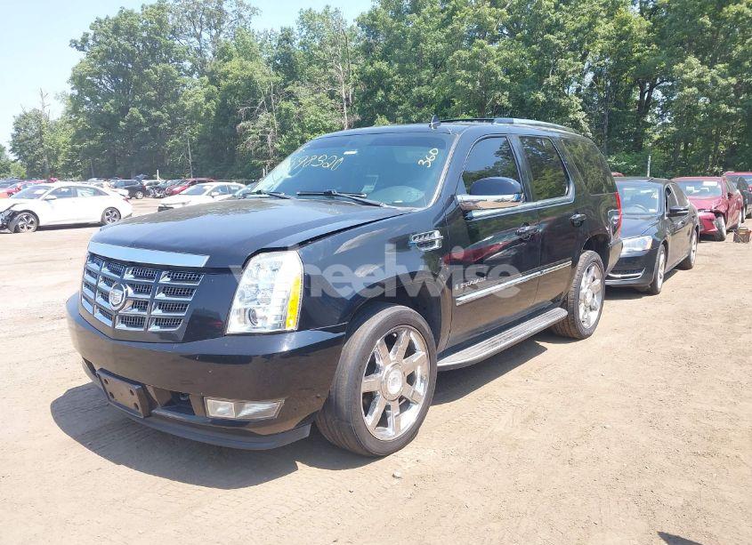Photo 2 of 2008 Cadillac Escalade STANDARD (VIN 1GYFK63838R253033)