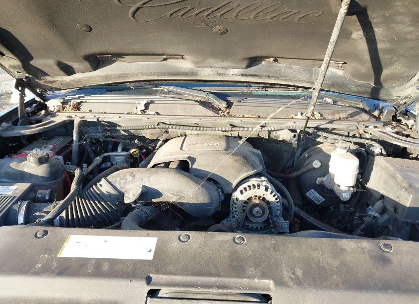 Photo 10 of 2007 Cadillac Escalade STANDARD (VIN 1GYFK63847R334248)