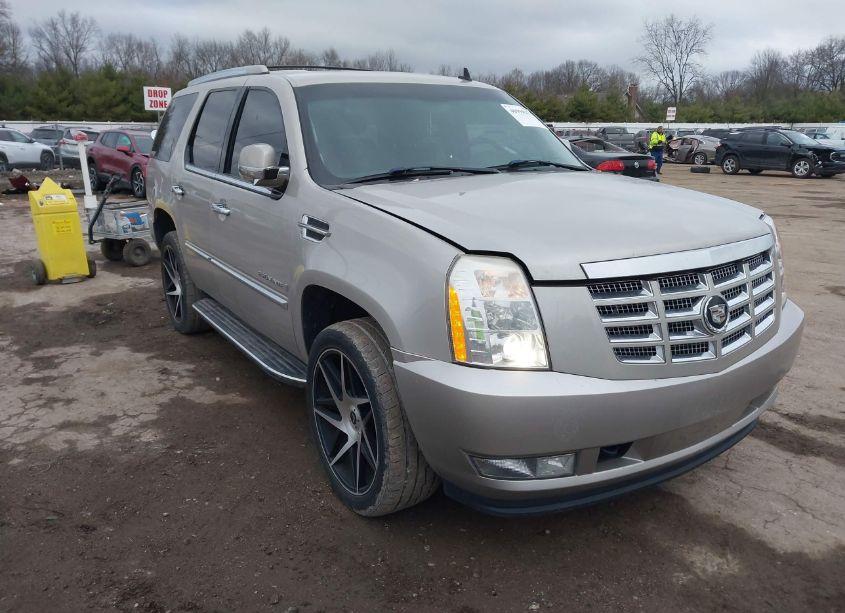 2007 Cadillac Escalade STANDARD (VIN 1GYFK63867R235107) main photo