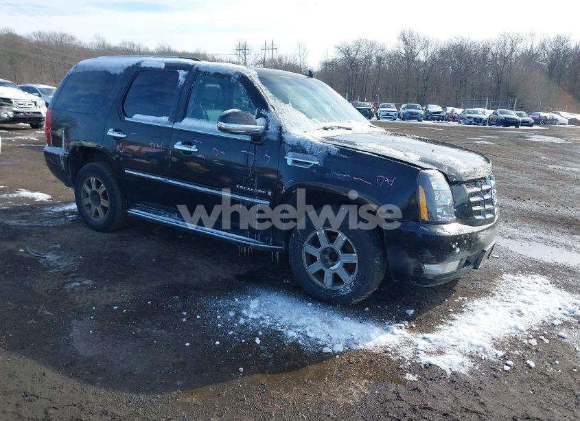2008 Cadillac Escalade STANDARD (VIN 1GYFK63888R174313) main photo