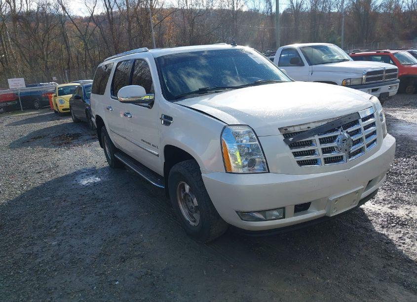 2007 Cadillac Escalade ESV STANDARD (VIN 1GYFK66807R301579) main photo