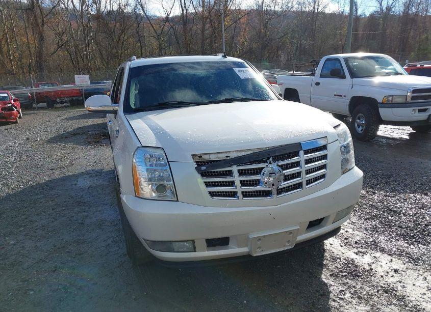 Photo 13 of 2007 Cadillac Escalade ESV STANDARD (VIN 1GYFK66807R301579)
