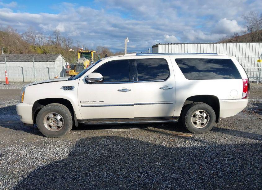Photo 15 of 2007 Cadillac Escalade ESV STANDARD (VIN 1GYFK66807R301579)
