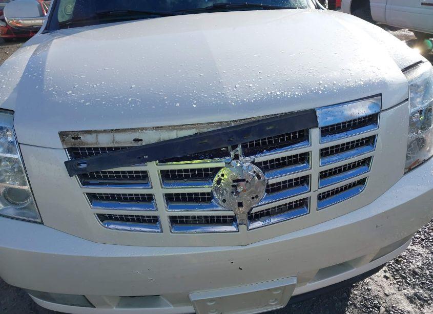 Photo 18 of 2007 Cadillac Escalade ESV STANDARD (VIN 1GYFK66807R301579)