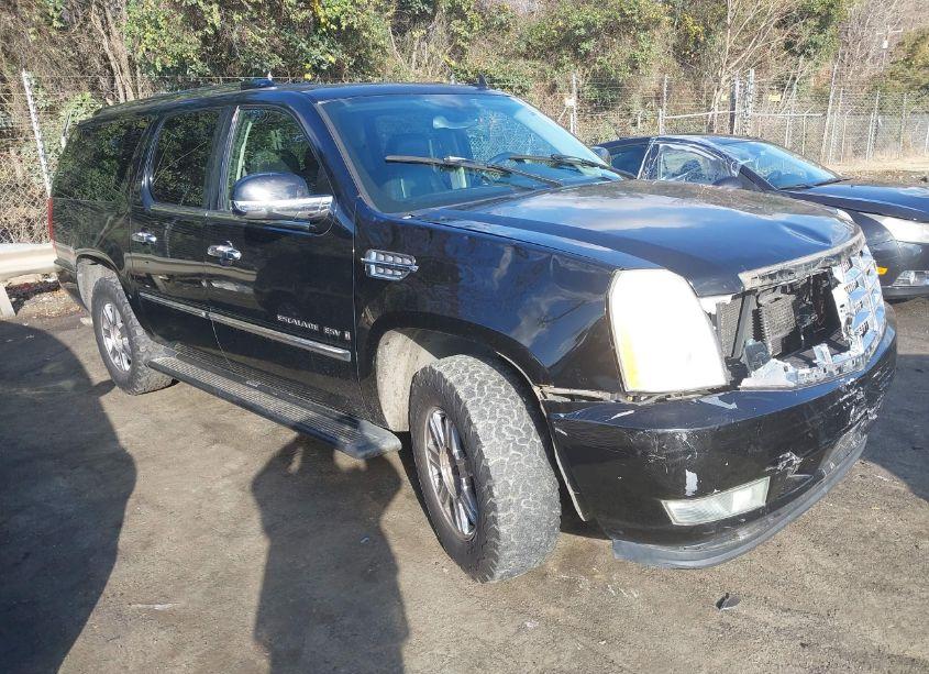 2007 Cadillac Escalade ESV STANDARD (VIN 1GYFK66817R235057) main photo