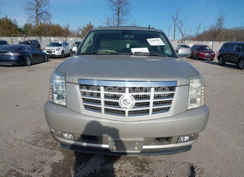Photo 12 of 2008 Cadillac Escalade ESV STANDARD (VIN 1GYFK66818R153525)