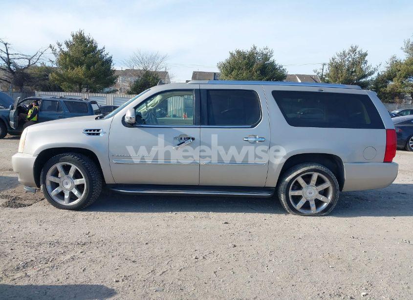 Photo 14 of 2008 Cadillac Escalade ESV STANDARD (VIN 1GYFK66818R153525)