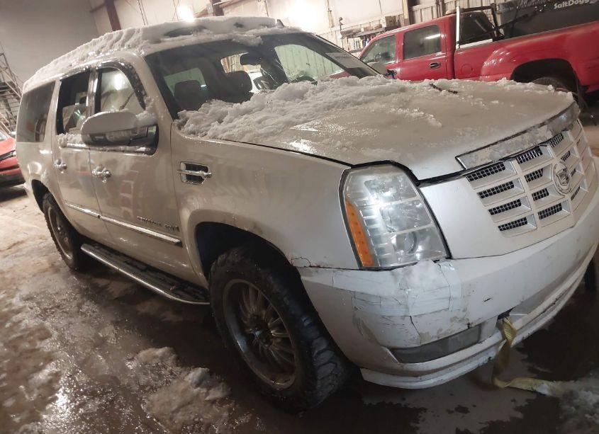 2008 Cadillac Escalade ESV STANDARD (VIN 1GYFK66838R106285) main photo