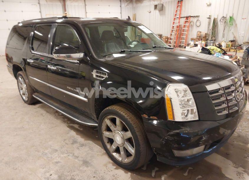 2008 Cadillac Escalade ESV STANDARD (VIN 1GYFK66858R232213) main photo