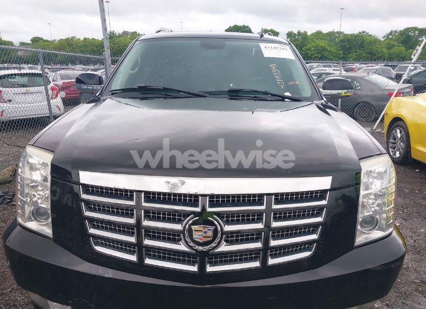 Photo 12 of 2008 Cadillac Escalade ESV STANDARD (VIN 1GYFK66868R157098)