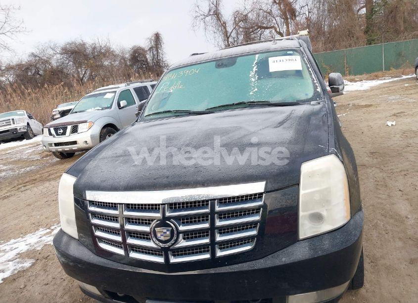 Photo 12 of 2008 Cadillac Escalade ESV STANDARD (VIN 1GYFK66878R196816)