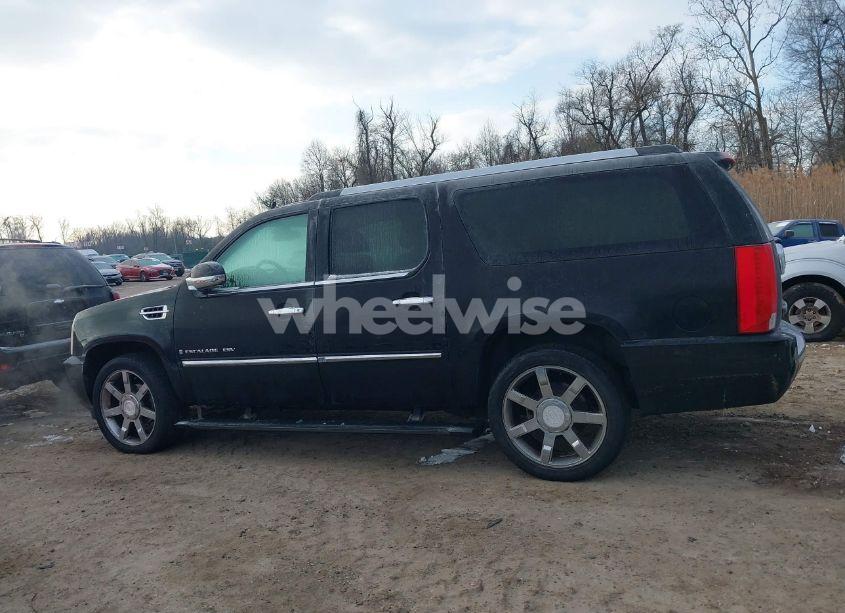 Photo 14 of 2008 Cadillac Escalade ESV STANDARD (VIN 1GYFK66878R196816)