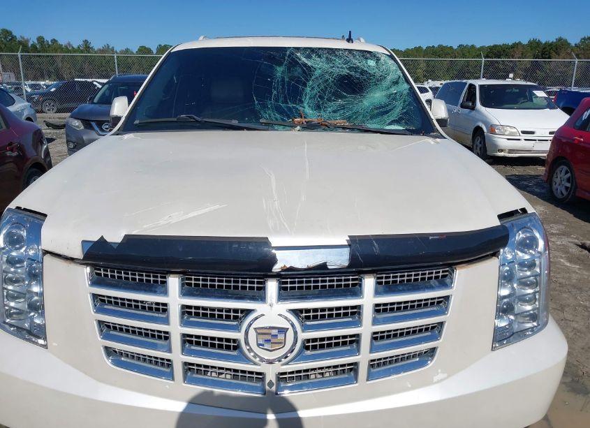 Photo 12 of 2008 Cadillac Escalade ESV STANDARD (VIN 1GYFK66888R272365)