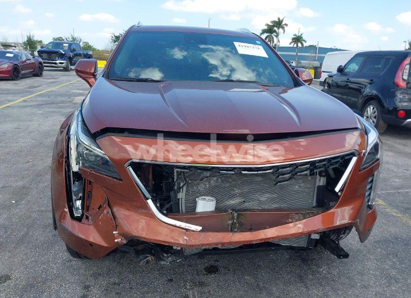 Photo 12 of 2019 Cadillac Xt4 PREMIUM LUXURY (VIN 1GYFZCR41KF183507)