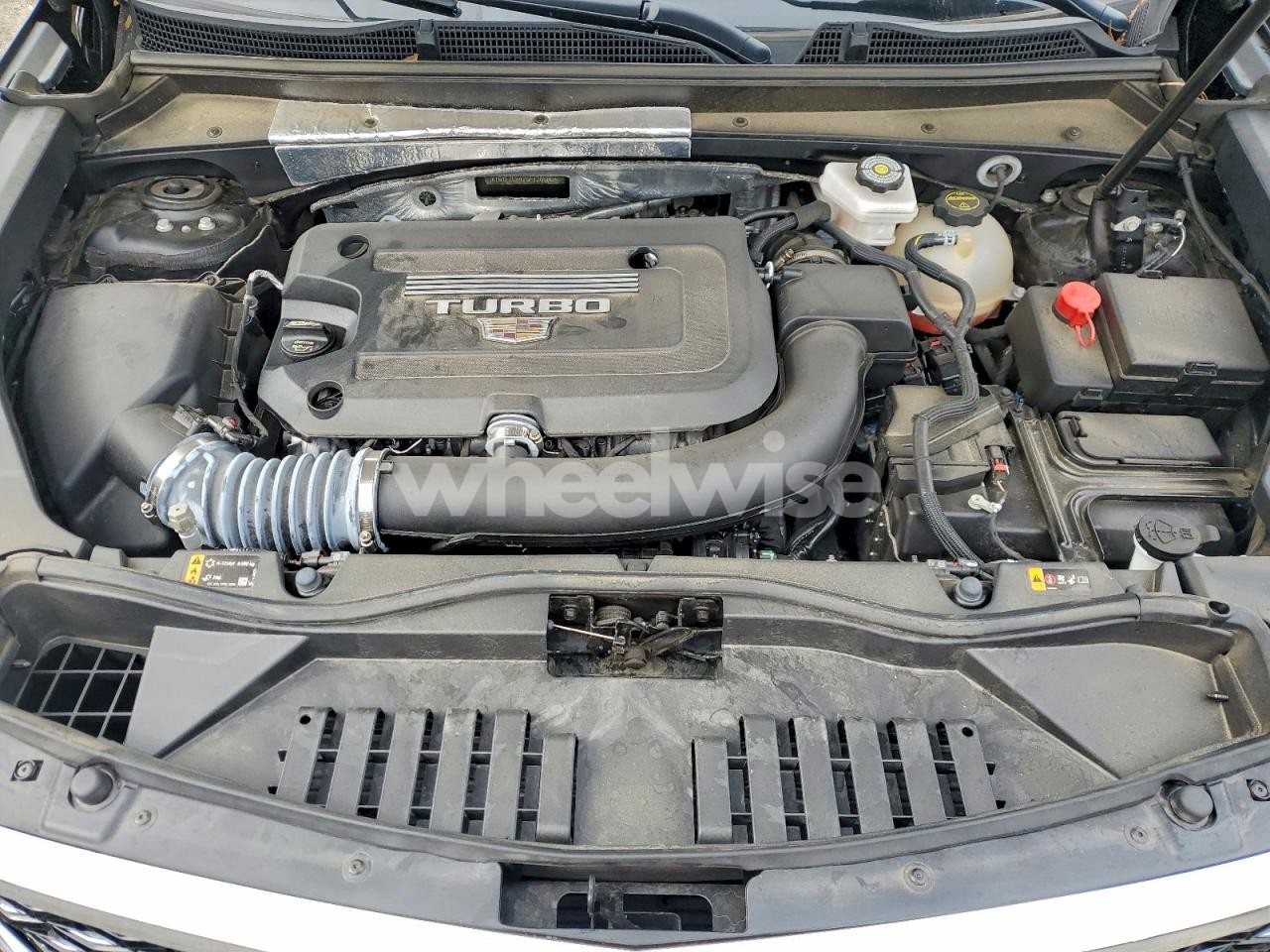 Photo 12 of 2025 CADILLAC XT4 PREMIUM LUXURY (VIN 1GYFZCR42SF126586)