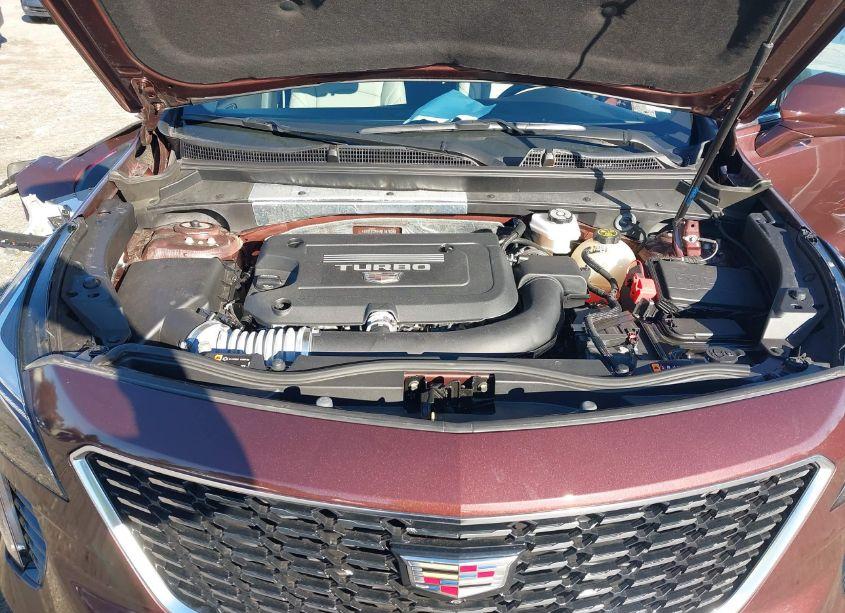 Photo 10 of 2022 Cadillac Xt4 FWD PREMIUM LUXURY (VIN 1GYFZCR44NF167824)
