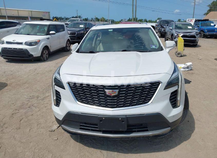 Photo 12 of 2019 Cadillac Xt4 PREMIUM LUXURY (VIN 1GYFZDR48KF131619)