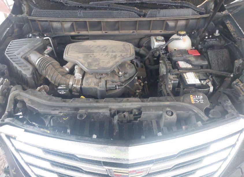 Photo 10 of 2019 Cadillac Xt5 STANDARD (VIN 1GYKNARS2KZ107421)