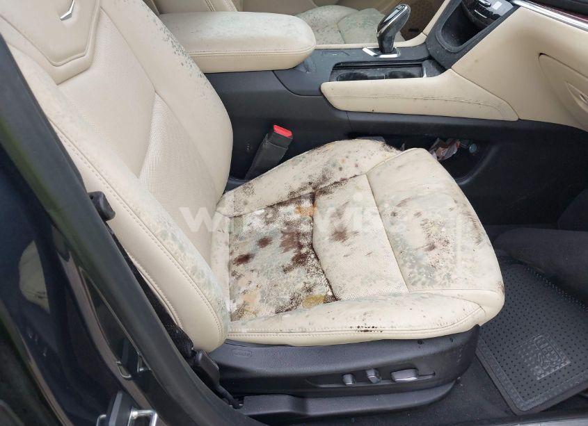 Photo 6 of 2019 Cadillac Xt5 LUXURY FWD (VIN 1GYKNCRSXKZ265632)