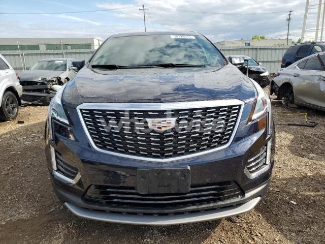 Photo 10 of 2021 CADILLAC XT5 PREMIUM LUXURY (VIN 1GYKNDRS4MZ229900)