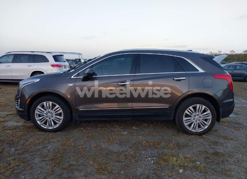 Photo 14 of 2019 Cadillac Xt5 PREMIUM LUXURY (VIN 1GYKNERS6KZ152904)